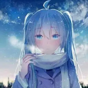 用户